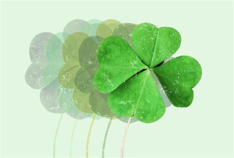 odds of finding a 4 leaf clover|Why Are Four.